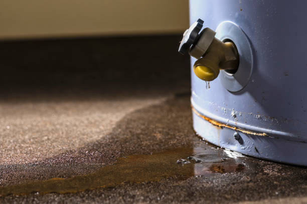 Best Flood restoration services  in Chester, PA