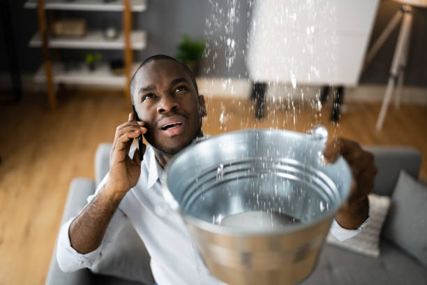 Best 24/7 water damage repair  in Chester, PA