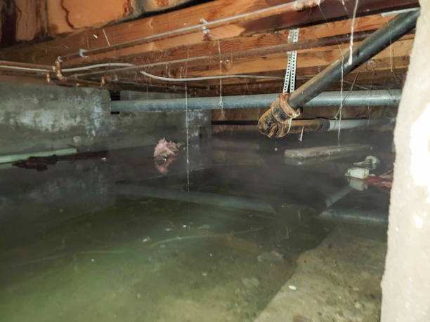 Water damage restoration process in PA