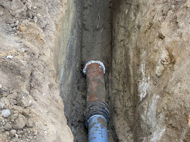Best Flood damage cleanup  in Chester, PA