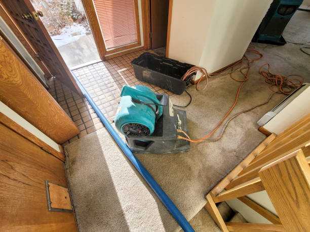 Best Water damage mitigation services  in Chester, PA