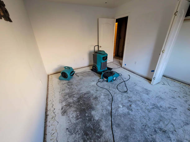 Best Water damage contractors near me  in Chester, PA
