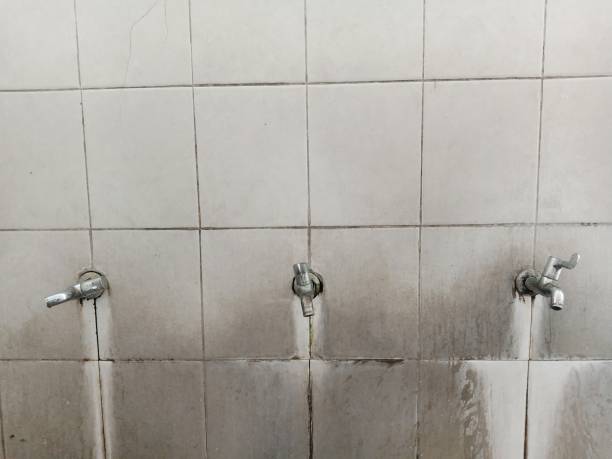 Best Water damage restoration experts  in Chester, PA