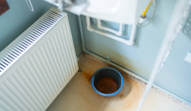 Best Water damage cleanup near me  in Chester, PA