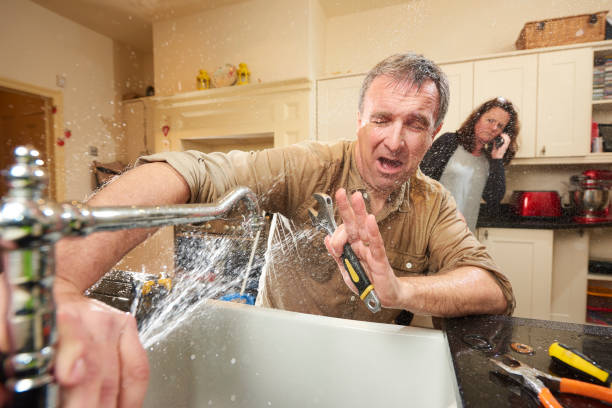 Best Mold removal after water damage  in Chester, PA